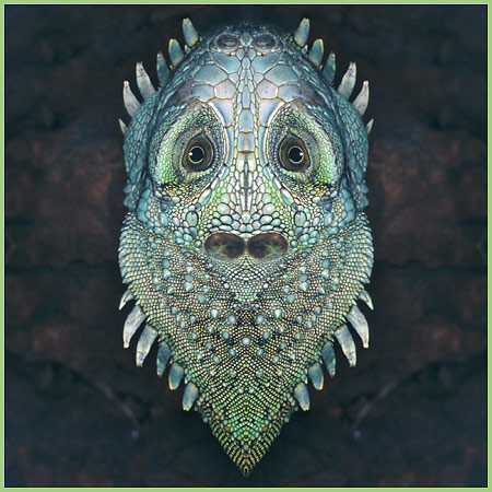 Reptilia II