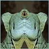 Reptilia I