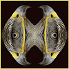 Digital Bestiary